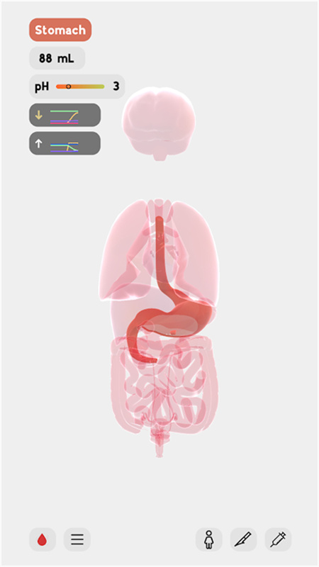 生命life(图7) 生命life(图7)