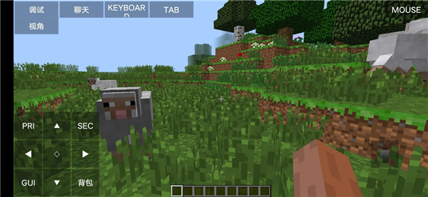 我的世界java版(图14)