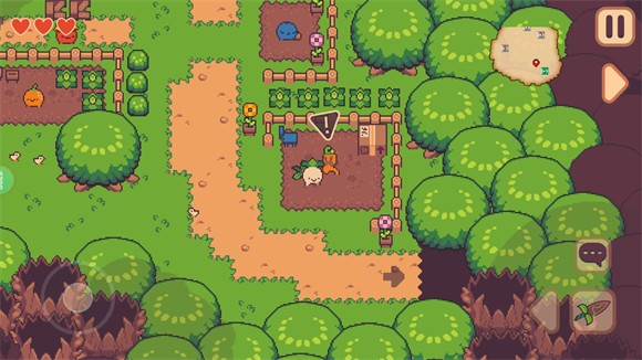 大头菜菜历险记(图3) 大头菜菜历险记(图3)