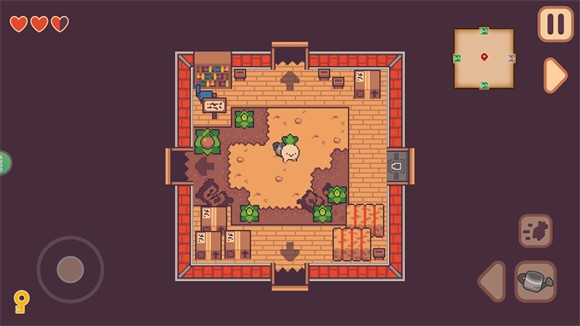 大头菜菜历险记(图6) 大头菜菜历险记(图6)