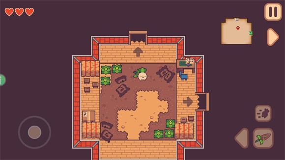 大头菜菜历险记(图7) 大头菜菜历险记(图7)