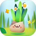 口袋植物游戏