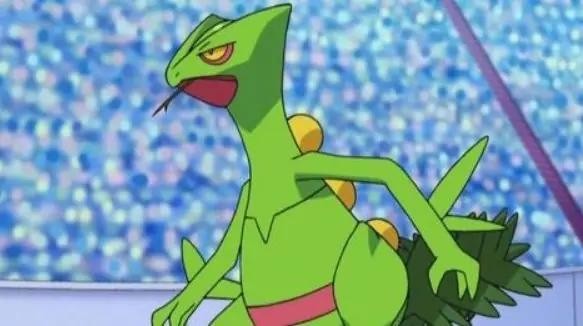 口袋妖怪绿宝石386版(图5)