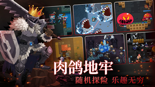 元气骑士池鸳直装版